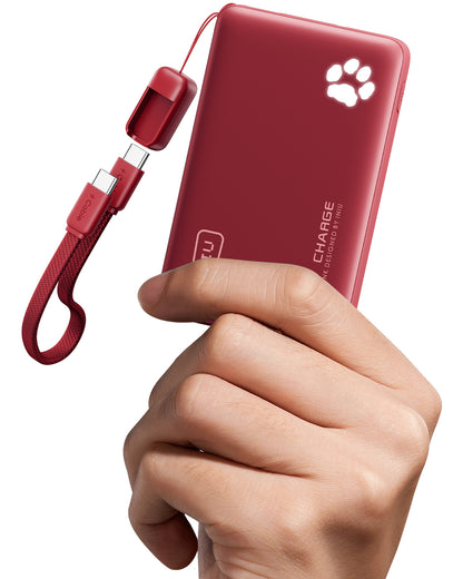 INIU Powerbank Pawsible P41, szybkie ładowanie, 45 W, 10000 mAh