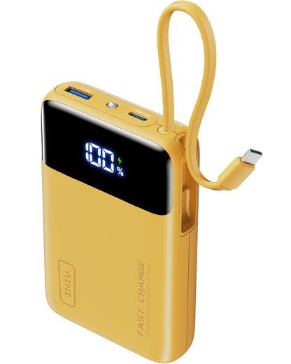 INIU Carry P51L-E1 Power Bank 22.5W 20000mAh