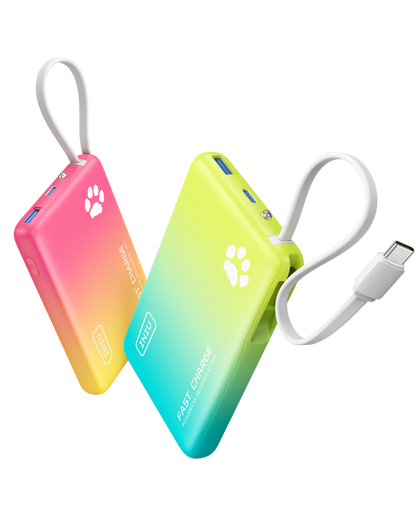INIU Pawsible P41L Power Bank Slimmest 45W 10000mAh (2-Pack)