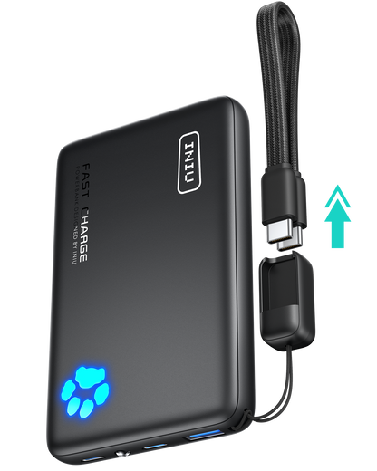 INIU Pawsible P41 Power Bank, Fast Charge, 22.5W, 10000mAh